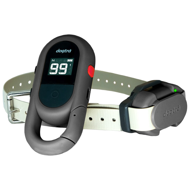 Dogtra iQ FLEX Ferntrainer kompakter Trainer fr kleine Hunde Dogtra iQ FLEX Ferntrainer kompakter Trainer fr kleine Hunde