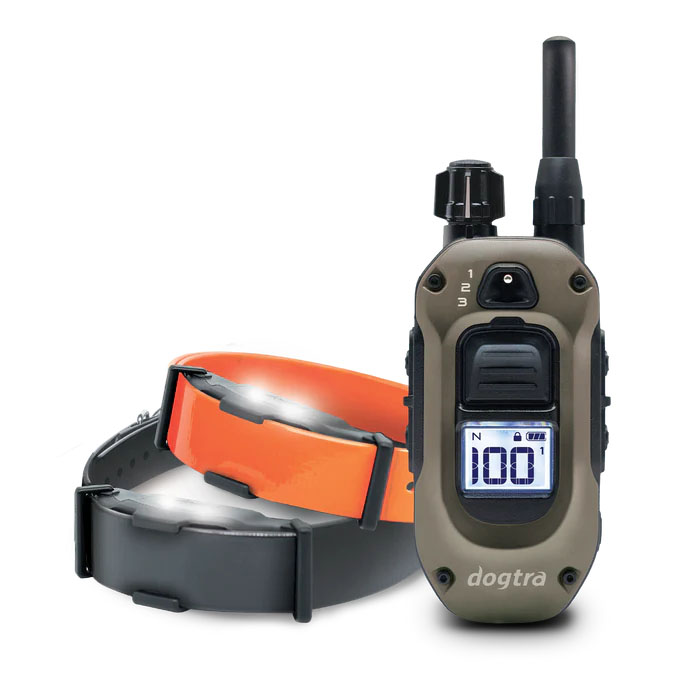 Dogtra ARC-X 2